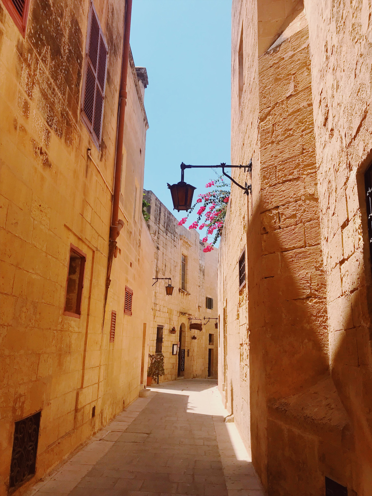 Processed with VSCO with au5 preset