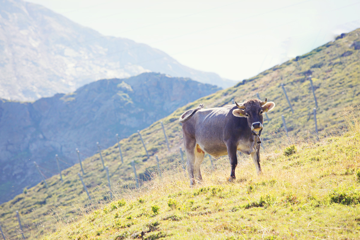 Sterzing_0020
